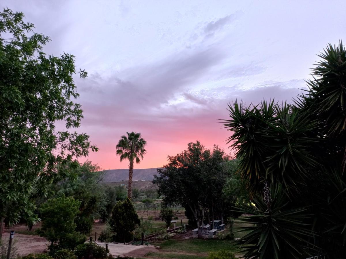 Karoo Life B&B Calitzdorp Exterior foto